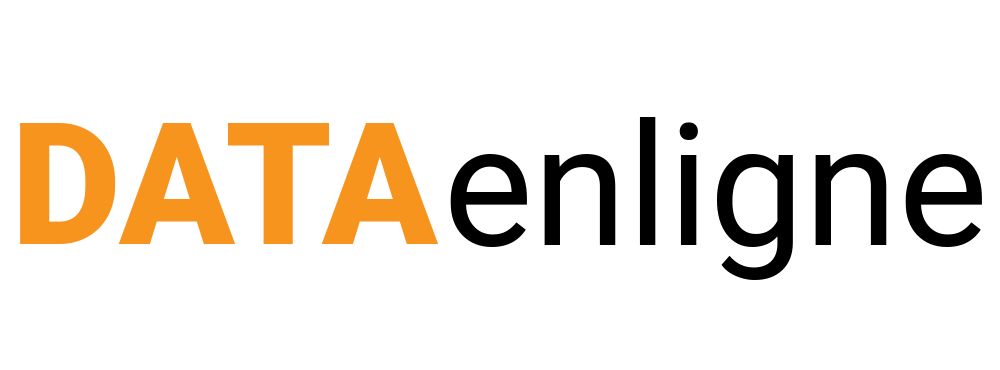 dataenligne-logo