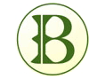bizzhostin-logo
