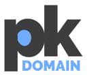 pk-domain-logo