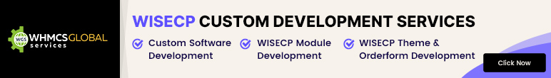 WISECP Custom Development Services