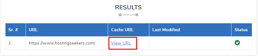 google cache