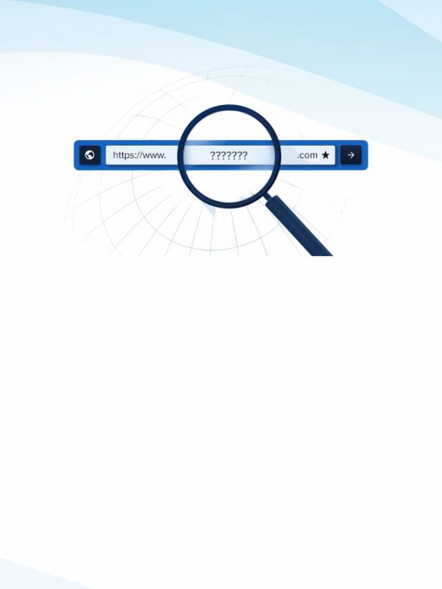 Everything You Need To Know About Custom Domains Hostingseekers everything-you-need-to-know-about-custom-domains-hostingseekers
