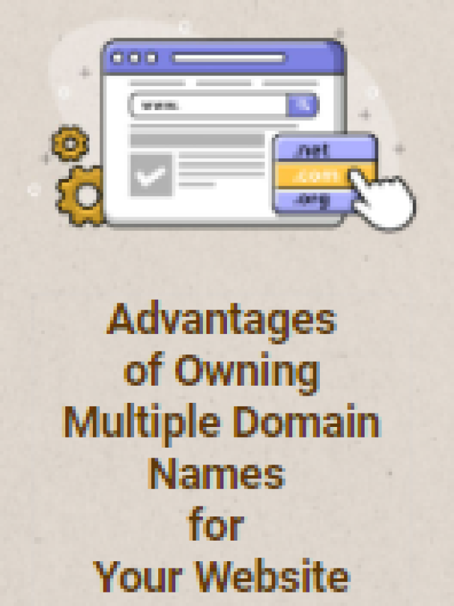 Advantages of Owning Multiple Domain Names for Your Website ...