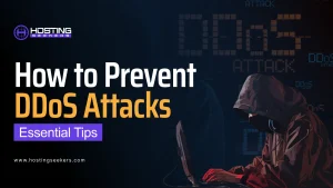 DDoS Attacks