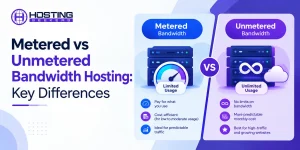 Metered vs Unmetered Bandwidth Hosting Key Differences