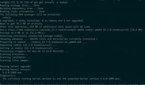 NodeJS on Ubuntu